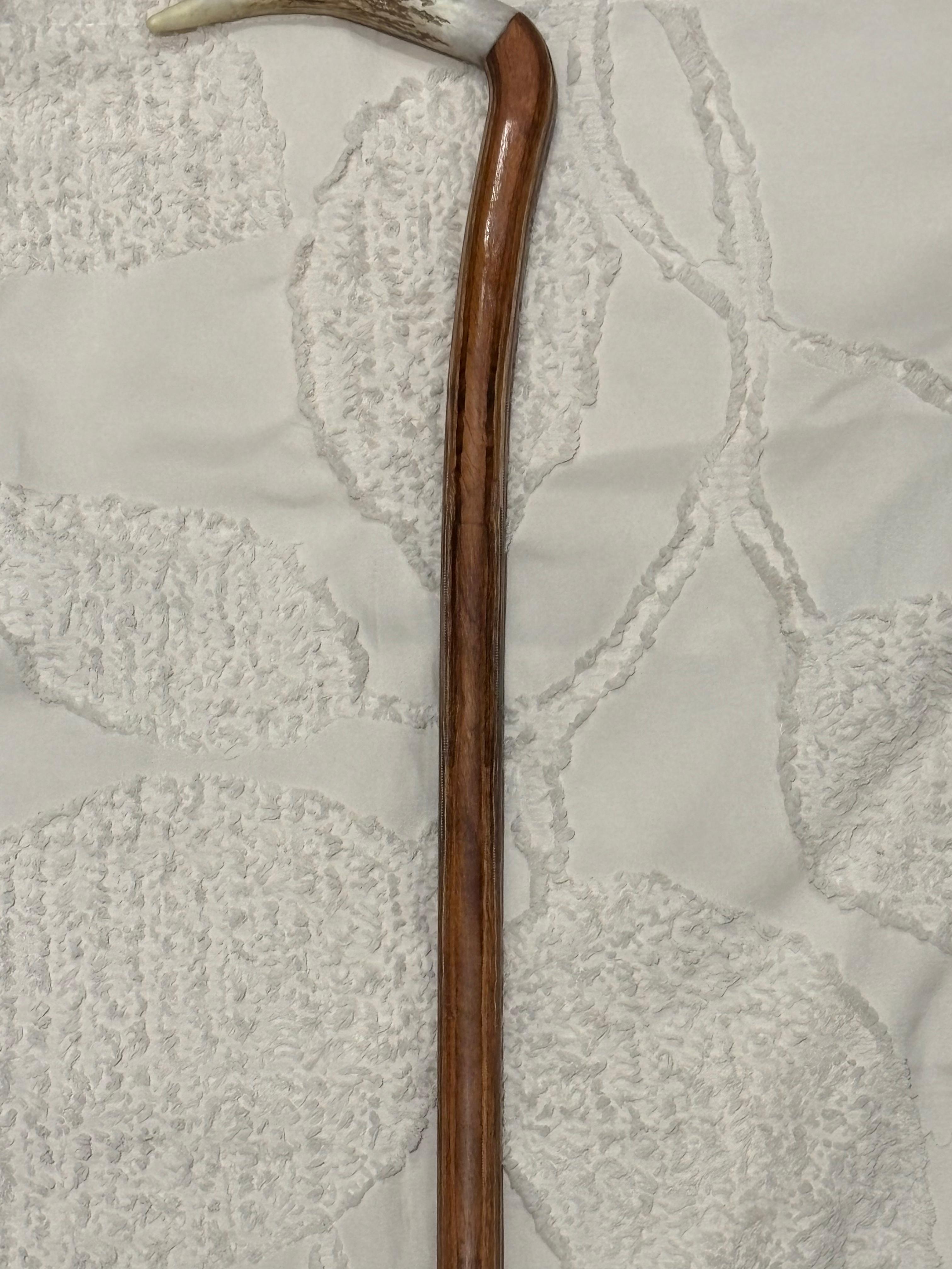 Handcrafted Wooden Walking Cane with Antler Handle