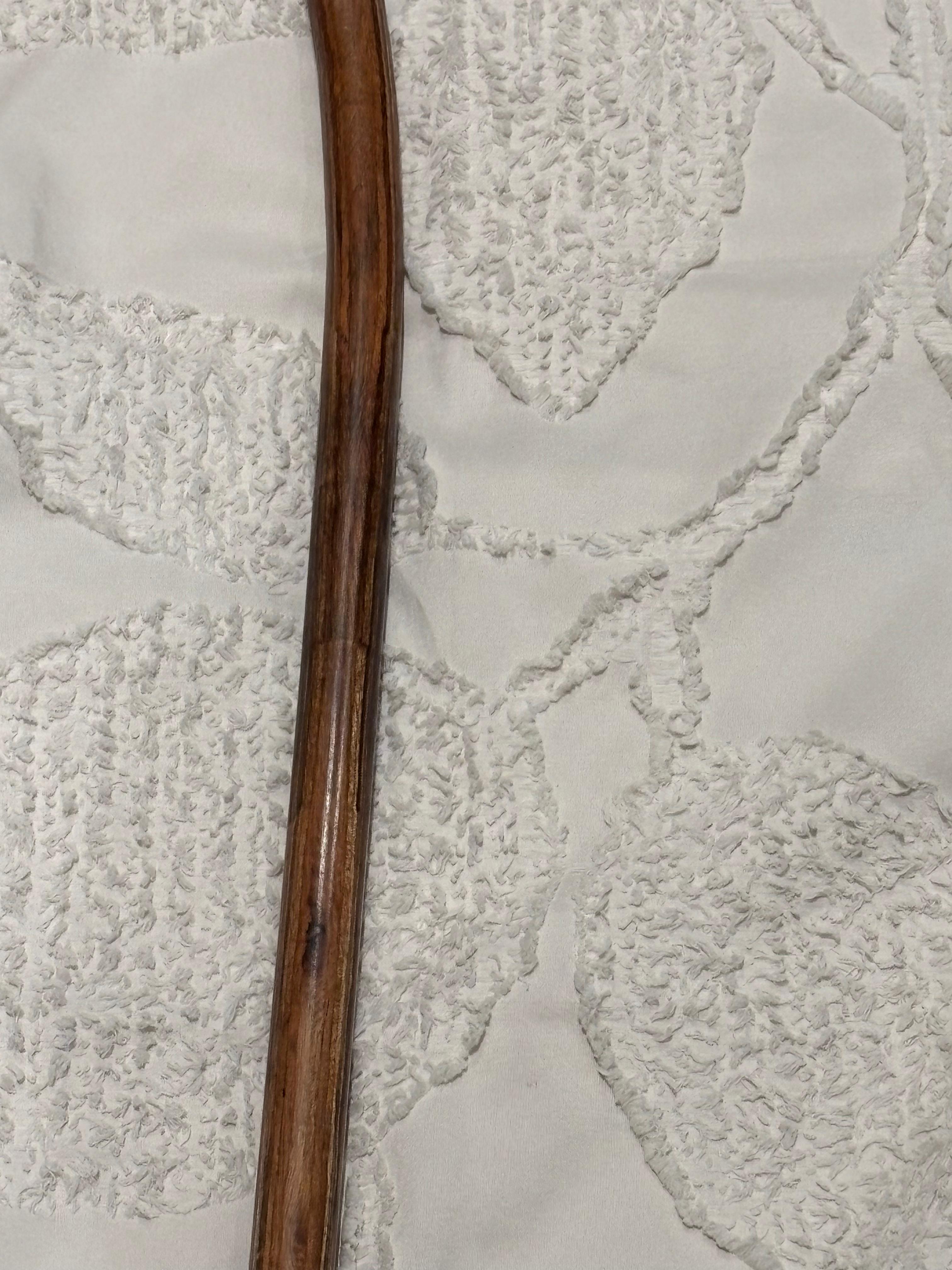 Handcrafted Wooden Walking Cane with Antler Handle