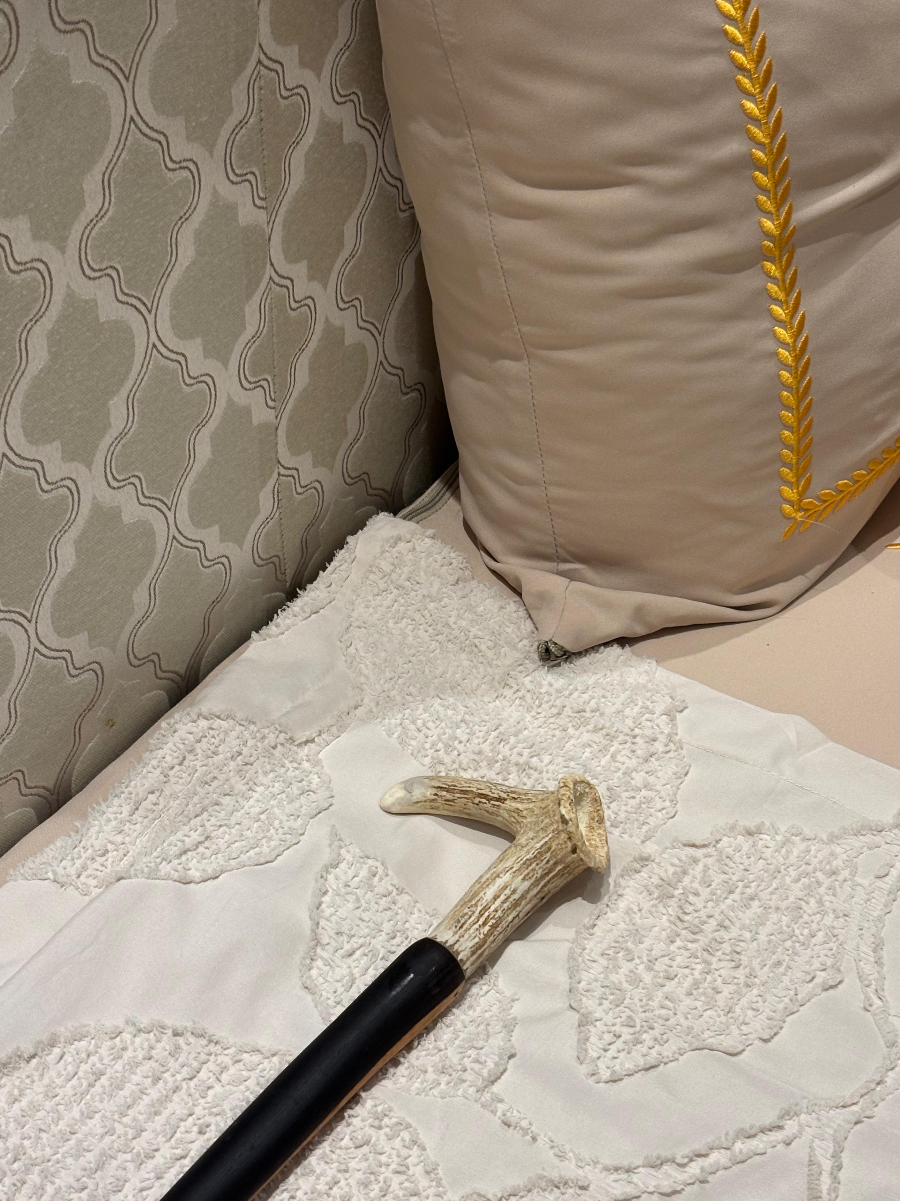 Elegant Black Walking Cane with Antler Handle